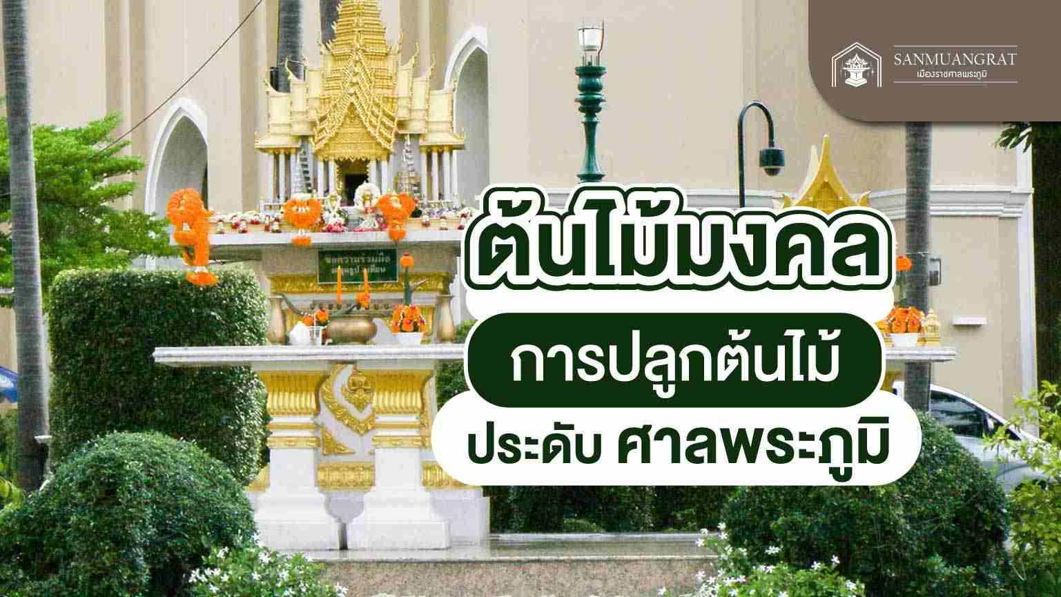 ต้นไม้มงคล การปลูกต้นไม้ประดับศาลพระภูมิ